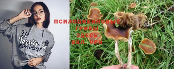 прущий лед Гусиноозёрск
