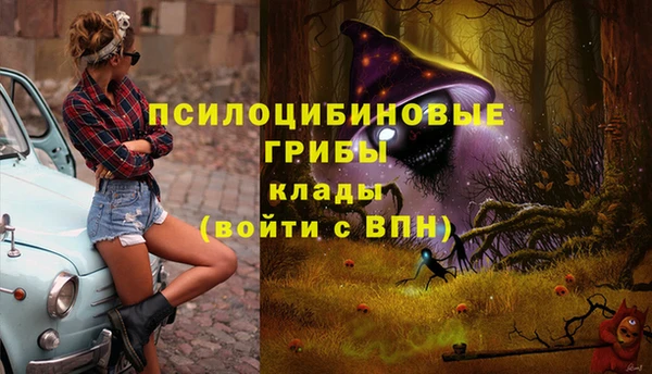 прущий лед Гусиноозёрск