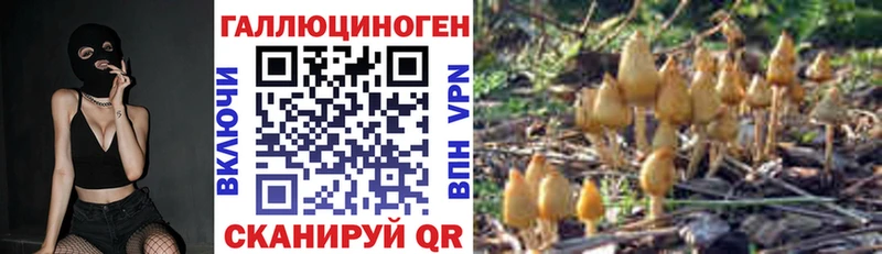 Псилоцибиновые грибы Magic Shrooms  mega ссылка  Жердевка 